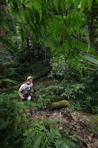 BIB: 
                            <button type="button" onclick="openModal(16033188)" class="btn btn-primary btn-sm float-right btn-popup" data-toggle="modal" data-target=".modal-high-quality">
                        <i class="fas fa-shopping-cart"></i> Add to Cart
                    </button>
                                            <button type="button" onclick="isThisMe(16033188, true)" class="btn btn-success btn-sm float-right btn-popup btn-isme hidden" data-toggle="tooltip" data-placement="bottom" title="นี่คือรูปของคุณใช่ไหม คลิกที่นี่เพื่อเอาเข้าอัลบั้ม">
                        <i class="fas fa-plus"></i> Add to album
                    </button>
                    <button type="button" onclick="isThisMe(16033188, false)" class="btn btn-warning btn-sm float-right btn-popup btn-isnotme hidden">
                        <i class="fas fa-ban"></i> Remove from album
                    </button>